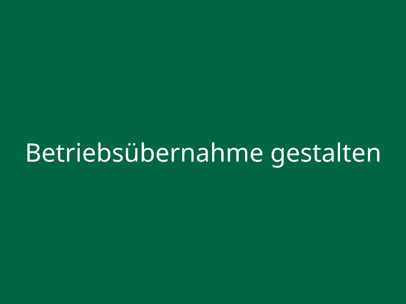 Betriebsübernahme gestalten