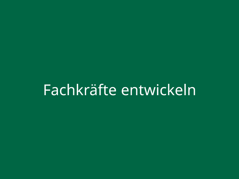 Fachkräfte entwickeln