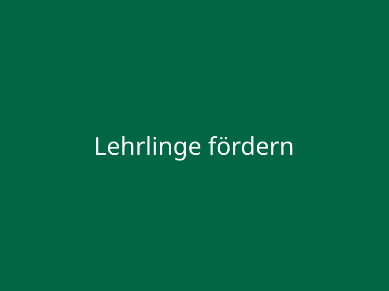 Lehrlinge fördern