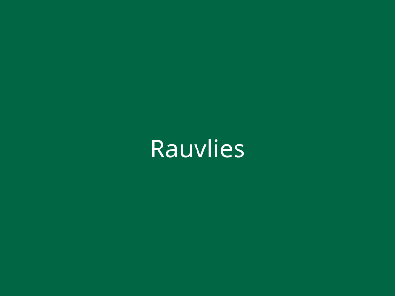 Rauvlies