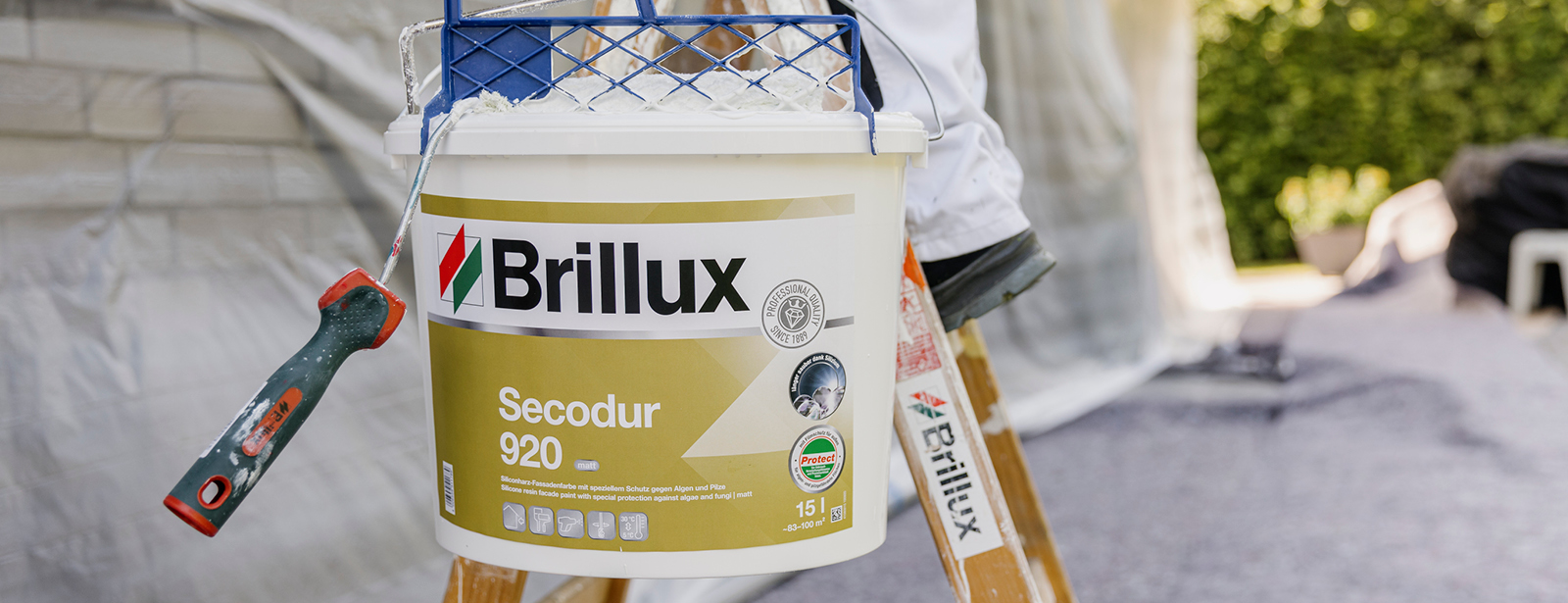 Stark gegen Algen und Pilze